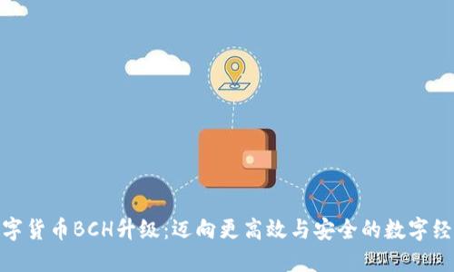 数字货币BCH升级:迈向更高效与安全的数字经济