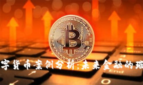 印度数字货币案例分析:未来金融的璀璨之路