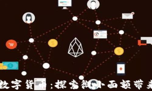 面值最小的数字货币:探索微小面额带来的无限可能