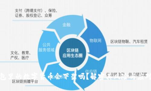 TP钱包里的数字货币会下架吗？解密其风险与应对策略