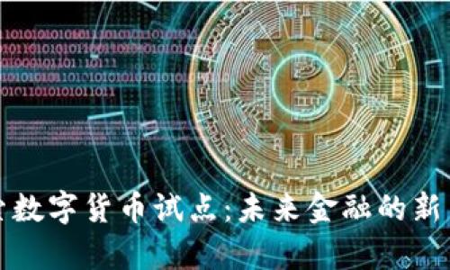 探索数字货币试点:未来金融的新篇章