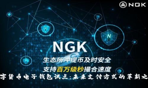 数字货币电子钱包试点:未来支付方式的革新之路