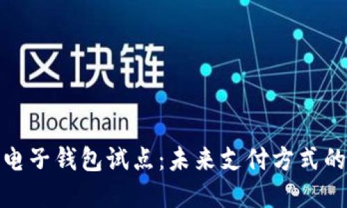 数字货币电子钱包试点:未来支付方式的革新之路