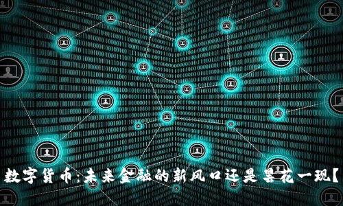 数字货币:未来金融的新风口还是昙花一现?
