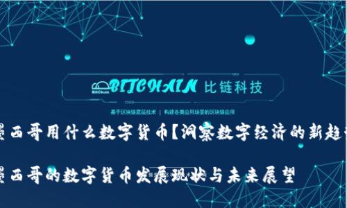 墨西哥用什么数字货币?洞察数字经济的新趋势
墨西哥的数字货币发展现状与未来展望
