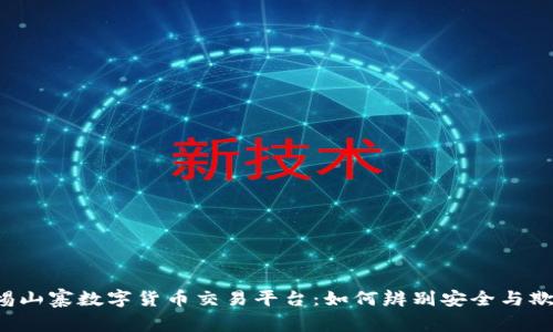 警惕山寨数字货币交易平台:如何辨别安全与欺诈?