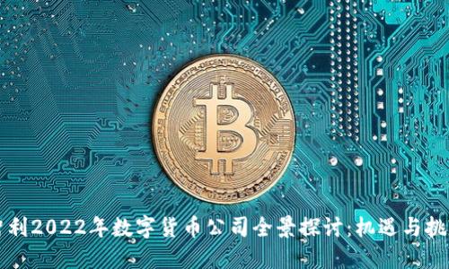 智利2022年数字货币公司全景探讨:机遇与挑战
