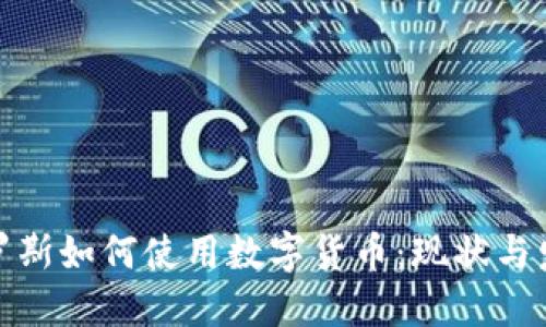 俄罗斯如何使用数字货币：现状与发展