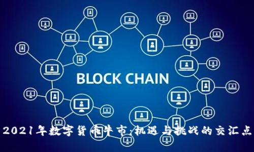 2021年数字货币牛市:机遇与挑战的交汇点