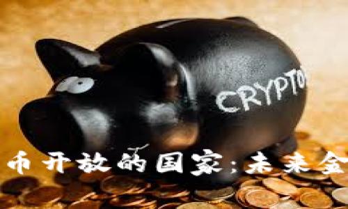 全球数字货币开放的国家:未来金融的新篇章
