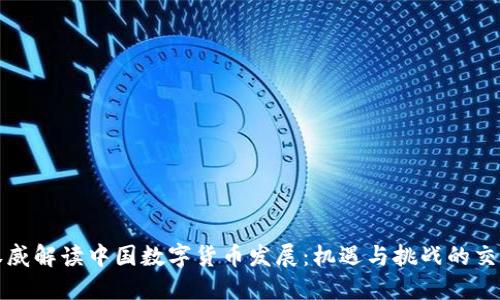 权威解读中国数字货币发展:机遇与挑战的交织