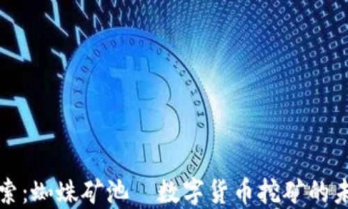 精彩探索:蜘蛛矿池—数字货币挖矿的未来之路
