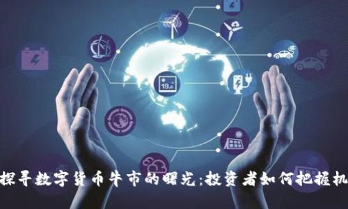 : 探寻数字货币牛市的曙光:投资者如何把握机会