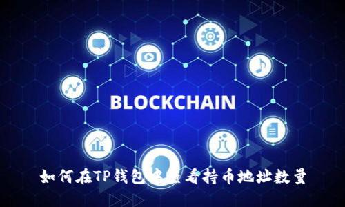如何在TP钱包中查看持币地址数量