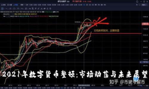 2021年数字货币整顿：市场动荡与未来展望