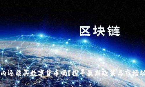 国内还能买数字货币吗?探寻最新政策与市场动向