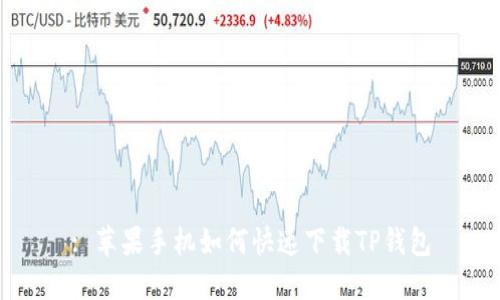 : 苹果手机如何快速下载TP钱包