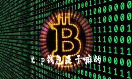 t p钱包是干嘛的