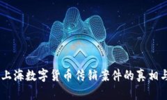揭秘！上海数字货币传销案件的真相与