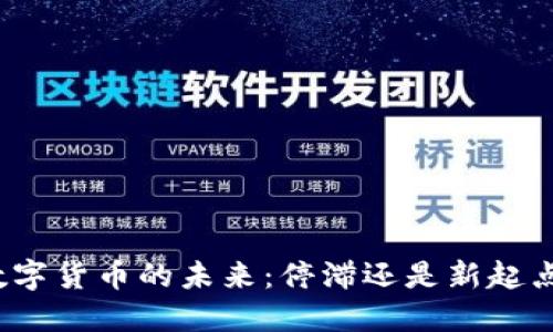 数字货币的未来：停滞还是新起点？