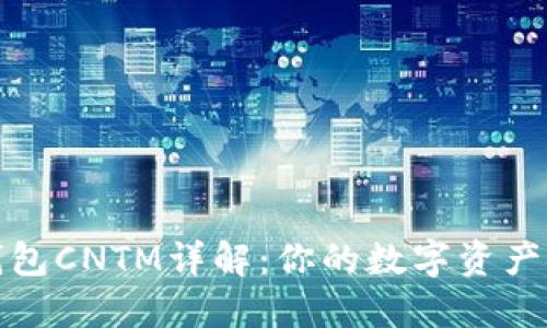 以太坊钱包CNTM详解:你的数字资产安全护航