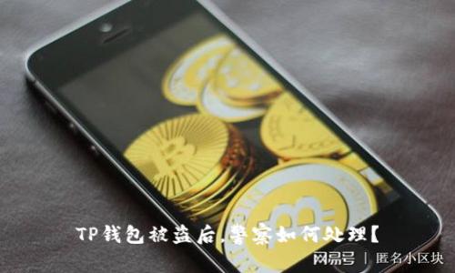 TP钱包被盗后,警察如何处理?