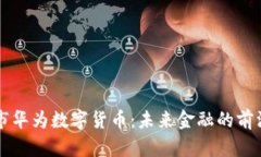 深圳市华为数字货币：未来金融的前沿