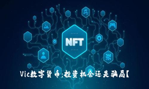 Vic数字货币：投资机会还是骗局？