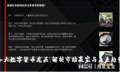 各大数字货币龙头：解析市场赢家与未