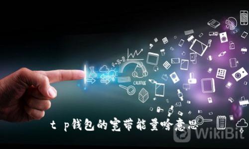 t p钱包的宽带能量啥意思