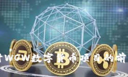深入探讨WOW数字货币项目的前景与潜力