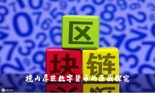 境内屏蔽数字货币的原因探究