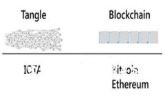探索数字货币的未来：韩国专家的见解