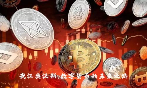 武汉奥沃斯:数字货币的未来之路