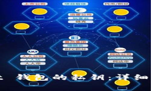 如何导出 Bybit 钱包的私钥:详细步骤与注意事项