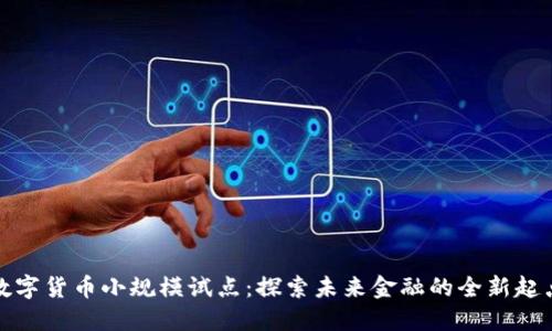 数字货币小规模试点：探索未来金融的全新起点