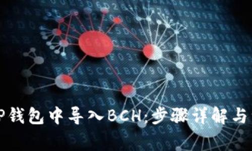 如何在TP钱包中导入BCH:步骤详解与注意事项