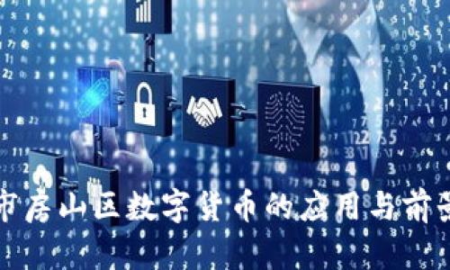 北京市房山区数字货币的应用与前景探讨
